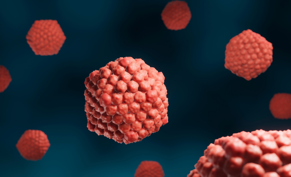 Blastocyst Culture & Transfer