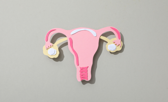 Female Fertility