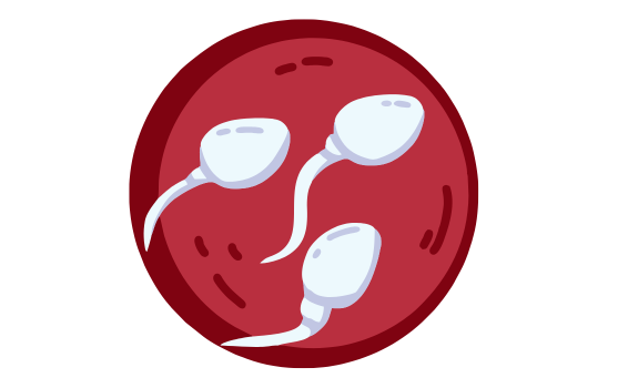 Surgical Sperm Retrieval (TESA, PESA, Micro-TESE)