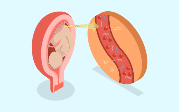 Chorionic Villus Sampling (CVS) in Palanpur