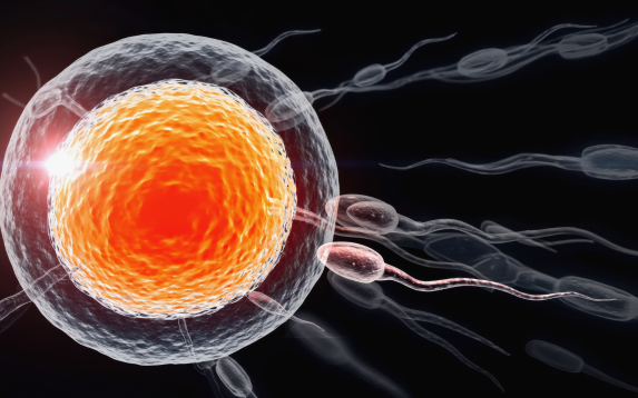 Female Fertility Treatment in Palanpur