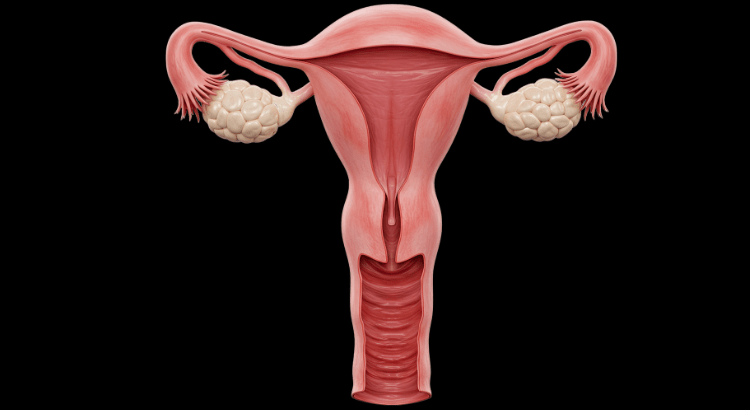 reproductive at Isha IVF Centre