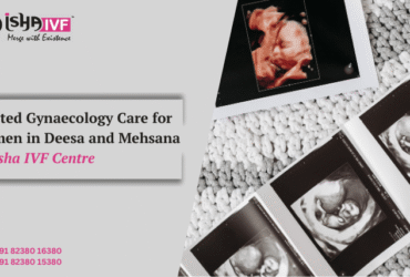 Best Fetal Medicine Doctor in Palanpur