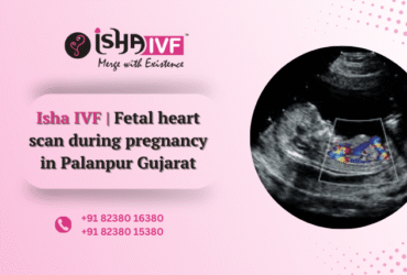 Fetal Cardiology Palanpur, Gujarat