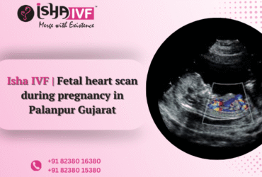 Fetal Cardiology Palanpur, Gujarat.png