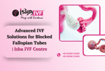 IVF for Blocked Fallopian Tubes in Palanpur