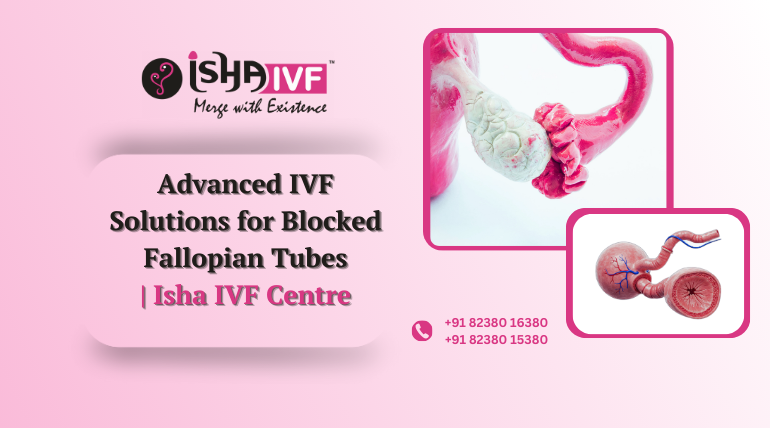 IVF for Blocked Fallopian Tubes in Palanpur, Gujarat – A Trusted Path to Parenthood