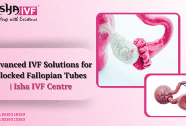 IVF for Blocked Fallopian Tubes in Palanpur