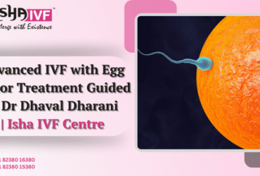 IVF with Egg Donor in Palanpur Gujarat