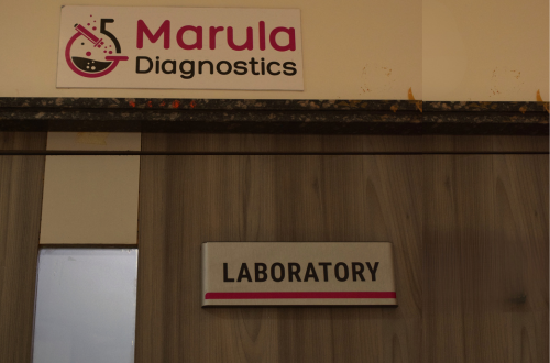 Laparoscopic Surgery Facilities